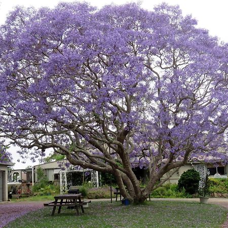 Ecotel Narooma North Narooma Dış mekan fotoğraf