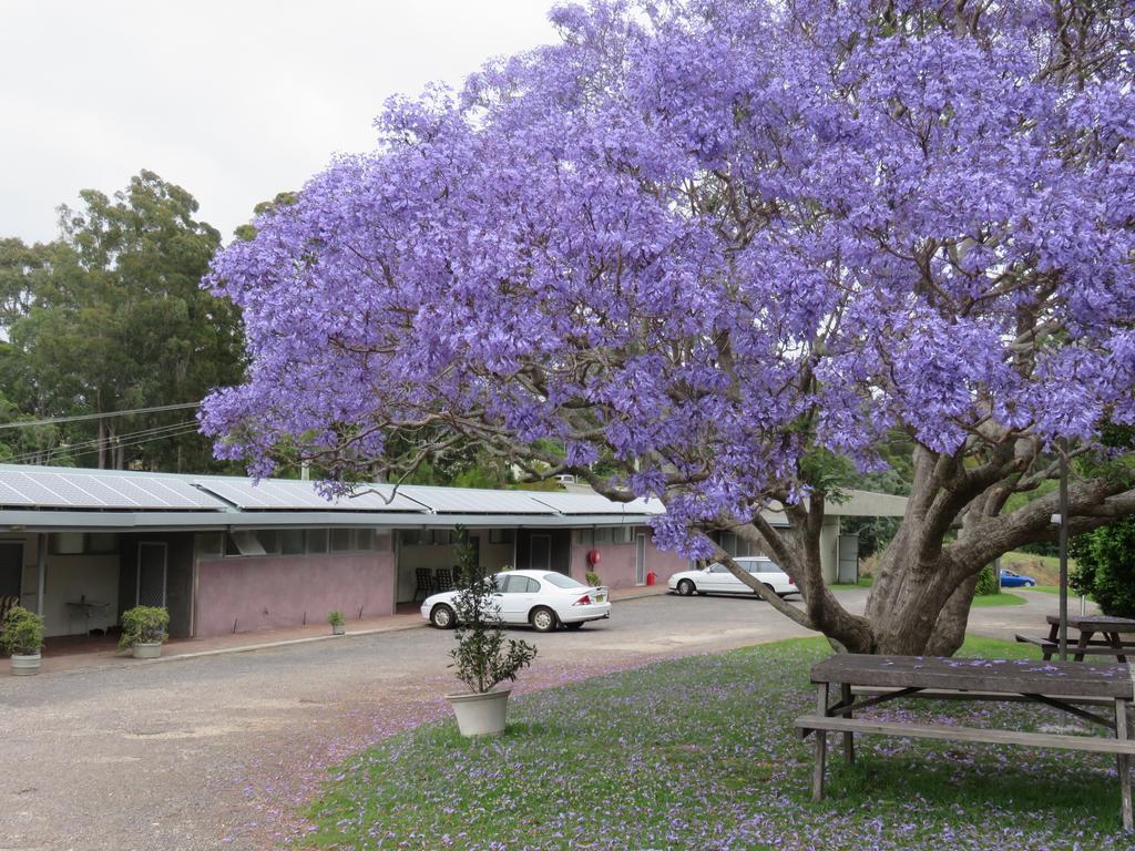 Ecotel Narooma North Narooma Dış mekan fotoğraf