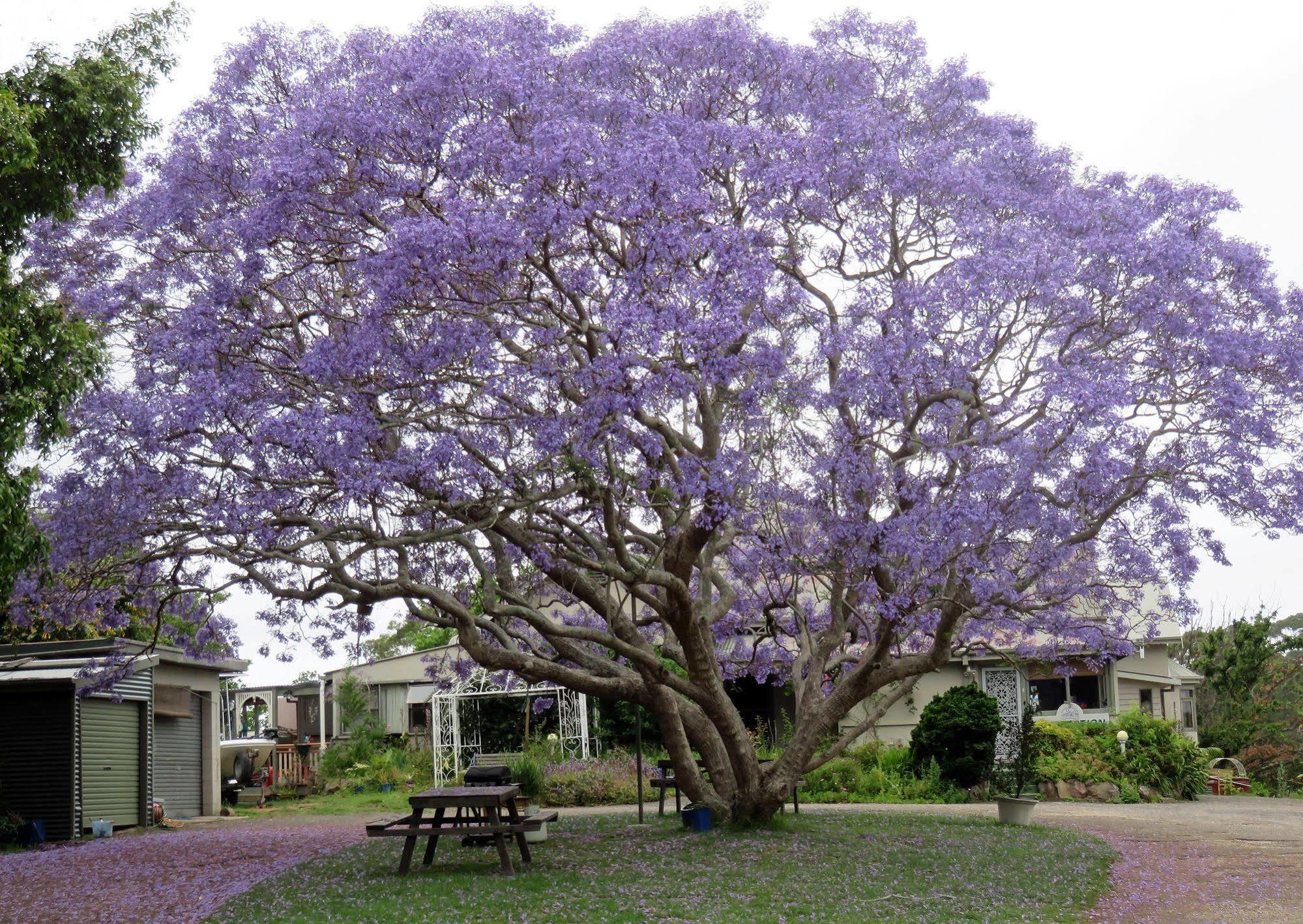 Ecotel Narooma North Narooma Dış mekan fotoğraf