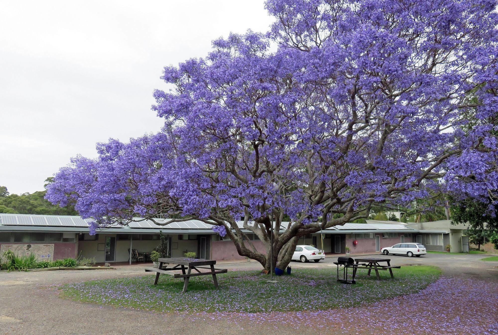 Ecotel Narooma North Narooma Dış mekan fotoğraf
